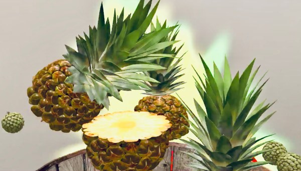 Fruit Warrior AR - Game Still
